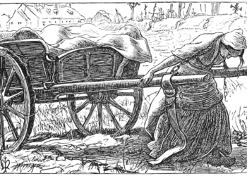 photo of plague
