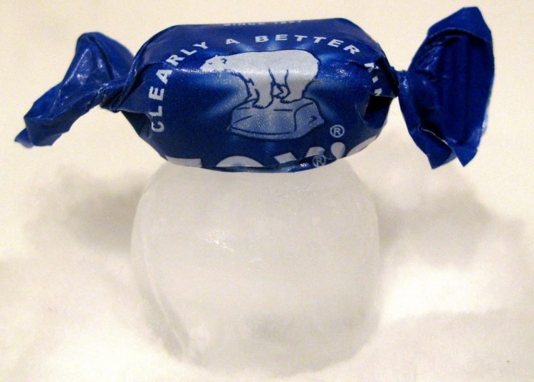 Fox's mint balanced on an icecube