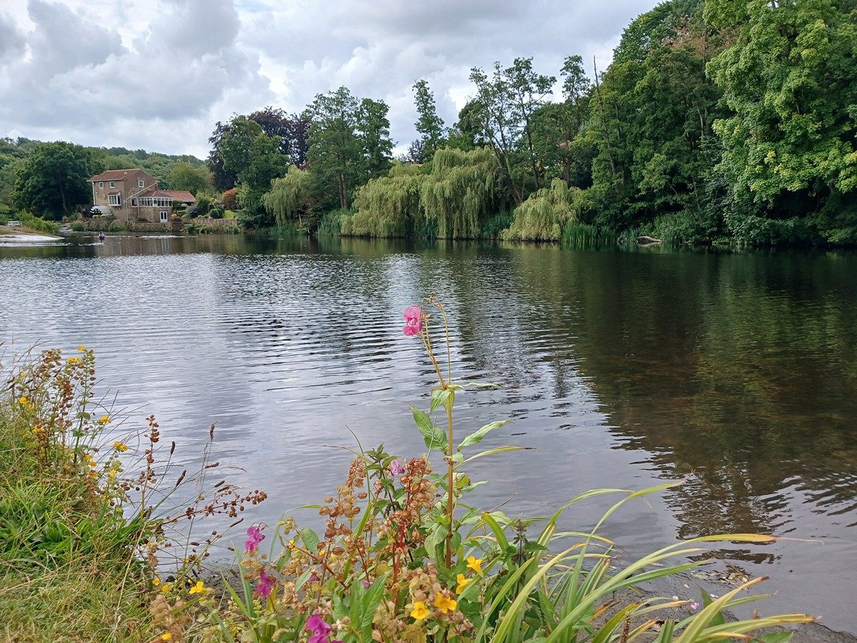 Image of River Nidd