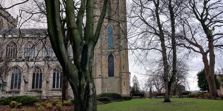 Image of Ripon Cathedral with trees in the foreground.