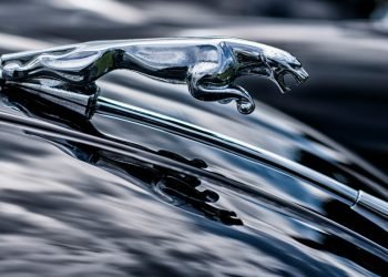 Jaguar car logo