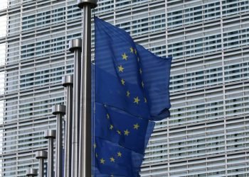 EU flags