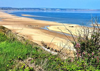 Filey Bay from Speeton