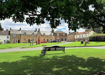 A village green with a metal bench on it and trees above, and a post box and houses in the distance