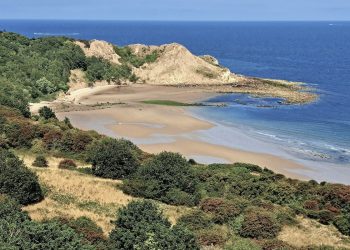 a view of the sweeping curve of Cayton Bay