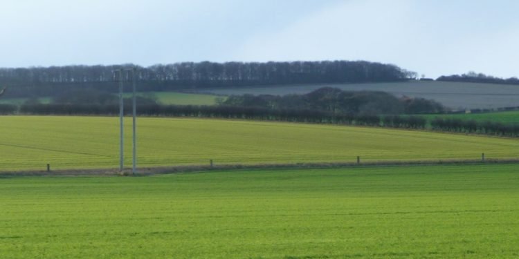 a gently undulating green landscape