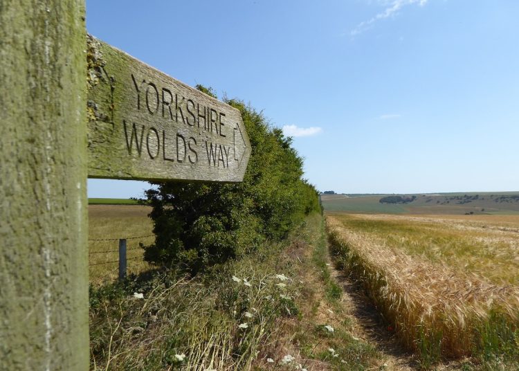 a wooden waymark sign reading Yorkshire Wolds Way points down along a track by the side of a field of crops
